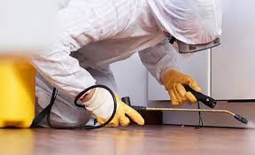 Best Emergency Pest Control  in Dearborn Heights, MI